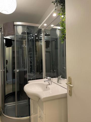 Appartement Cosy Hyper Centre Châteauroux Dış mekan fotoğraf