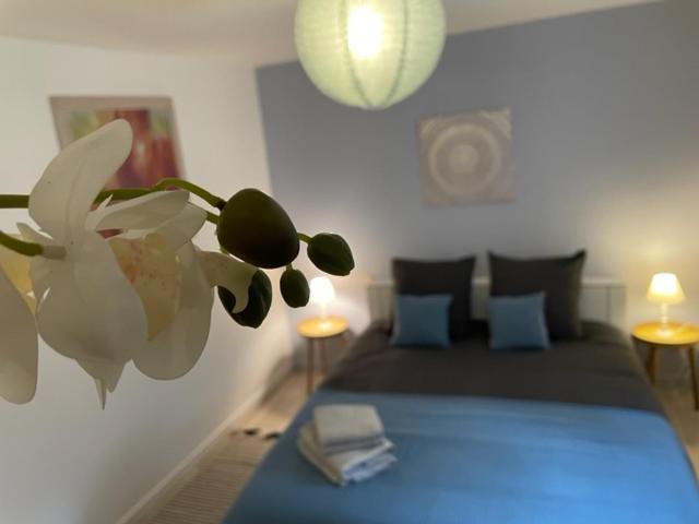 Appartement Cosy Hyper Centre Châteauroux Dış mekan fotoğraf